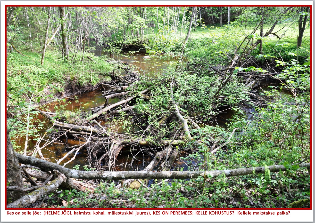 Helme jõgi Helme kalmistu kohal