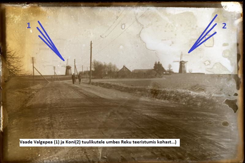 Fail:Valgepea ja Koni tuulik.jpg