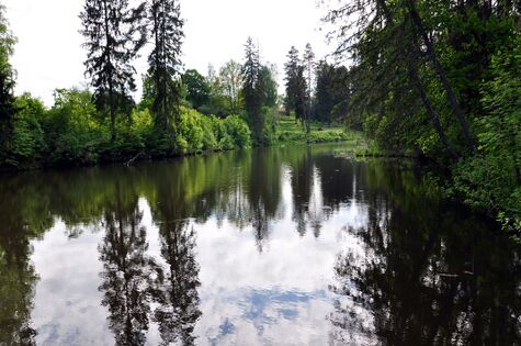 Tikste veski paisjärv Pokardi ürgorus. 2012, mai. E. Kirt