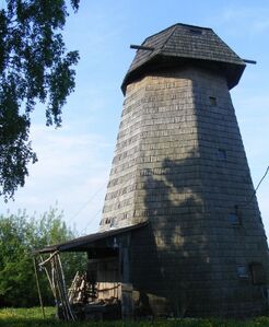 AD 2011. Koni tuulik hommikupäikeses