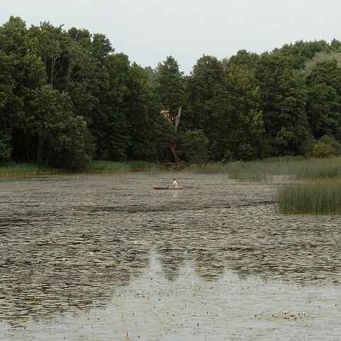 järv 2007 a.