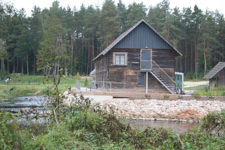 Sangaste villaveski