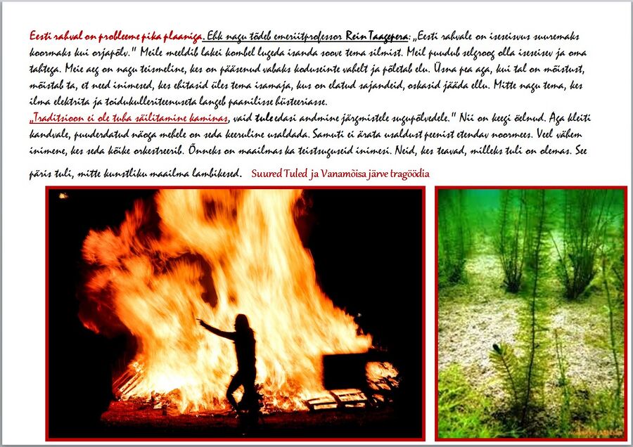 Probleem pika plaaniga