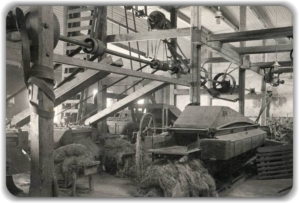 Abja linaveski sisevaade