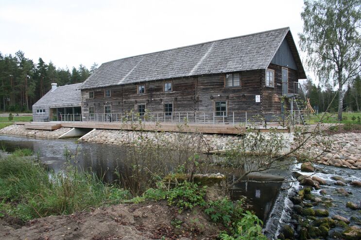 Sangaste villaveski