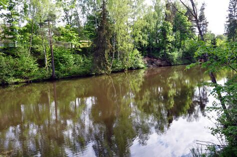 Vaade Tikste järvele. Foto: Enno Kirt