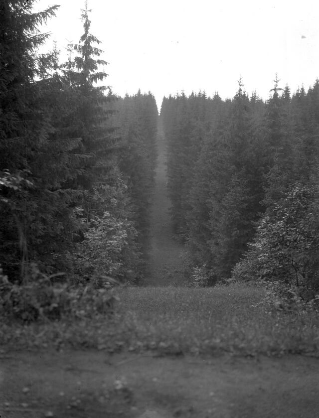 Kusagil Tõrva lähistel