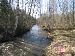 Pärnu jõgi Korba veski kõrvalt mööda juhituna
