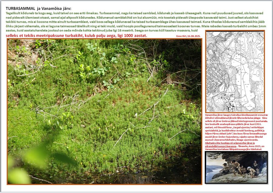 Turbasammal ja Vanamõisa järv