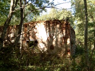 Helme veski varemed, 2006. a. Foto R.V. Veskivarsmu