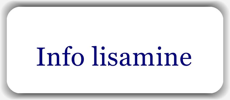 Fail:InfoLisamineW.jpg