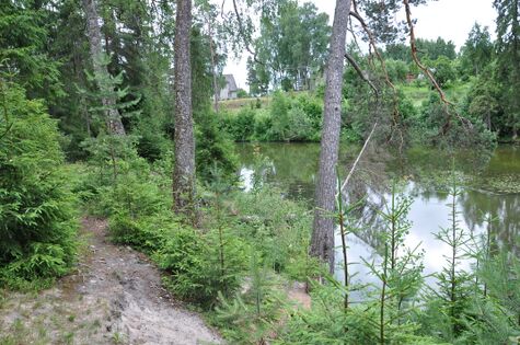 Vaade idast Tikste järvele. Foto: Enno Kirt