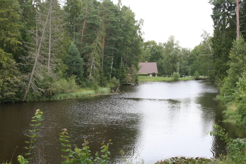 Fail:Tikste VeskiPaisjarv2024a.JPG